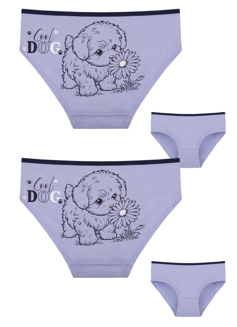 Donella 4171PB178 Assorted 10-Pack Girls' Briefs — Turkish textile wholesale