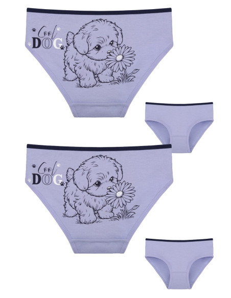 Donella 4171PB178 Assorted 10-Pack Girls' Briefs — Turkish textile wholesale