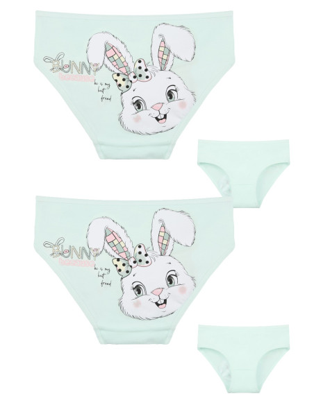 Donella 4171PB195 Assorted 10-Pack Girls' Briefs — Turkish textile wholesale