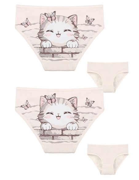 Donella 4171PB227 Assorted 10-Pack Girls' Briefs — Turkish textile wholesale