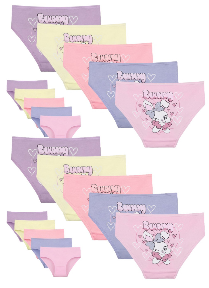 Donella 4171PB233 Assorted 10-Pack Girls' Briefs — Turkish textile wholesale