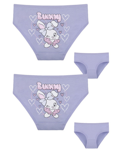 Donella 4171PB233 Assorted 10-Pack Girls' Briefs — wholesale from Turkey