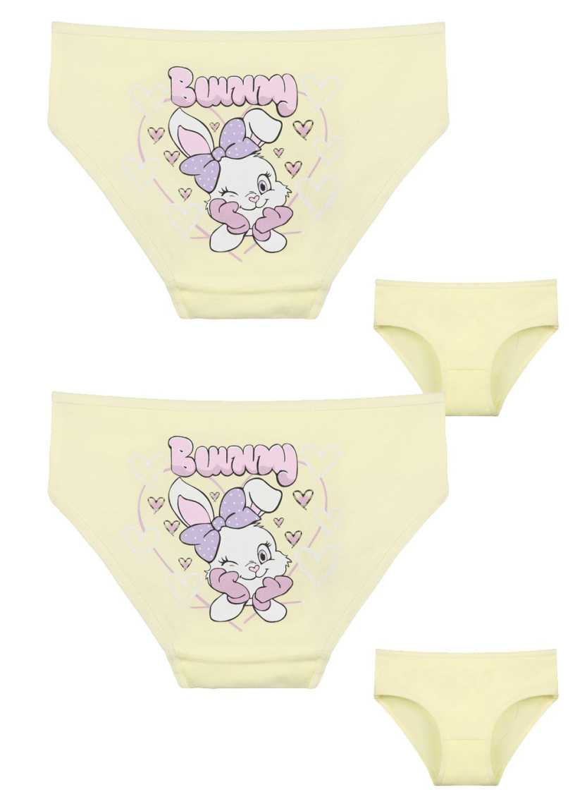 Donella 4171PB233 Assorted 10-Pack Girls' Briefs — Turkish textile wholesale