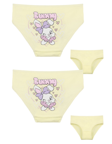 Donella 4171PB233 Assorted 10-Pack Girls' Briefs — Turkish textile wholesale