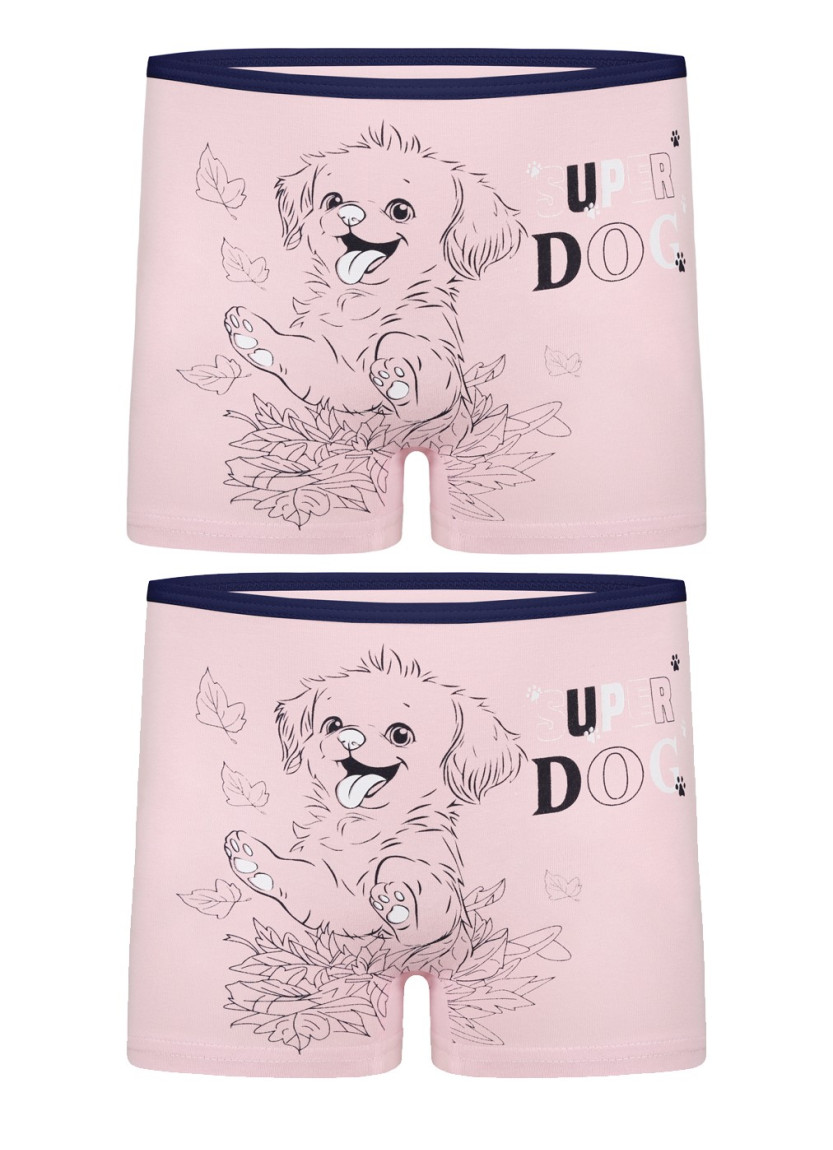 Donella 4271PB178 Assorted 10-Pack Girls' Briefs — wholesale for boutiques