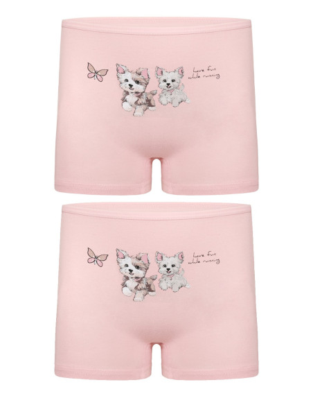 Donella 4271PB181 Assorted 10-Pack Girls' Briefs — Turkish textile wholesale