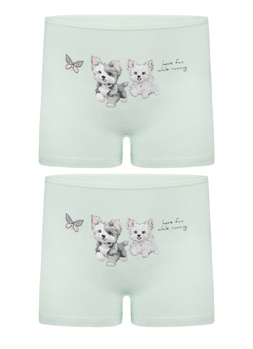 Donella 4271PB181 Assorted 10-Pack Girls' Briefs — direct Turkish factory supply