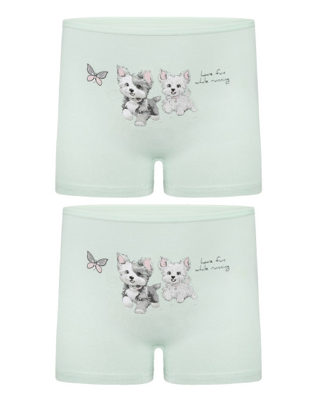 Donella 4271PB181 Assorted 10-Pack Girls' Briefs — direct Turkish factory supply