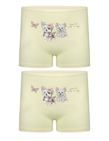 Donella 4271PB181 Assorted 10-Pack Girls' Briefs — Turkish textile wholesale