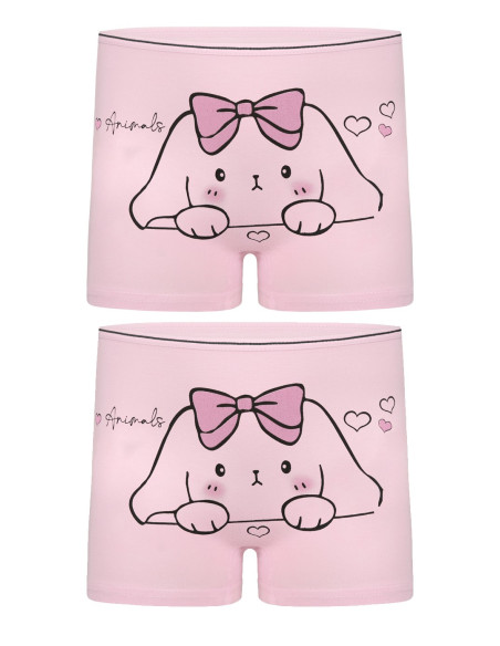Donella 4271PB196 Assorted 10-Pack Girls' Briefs — wholesale from Turkey