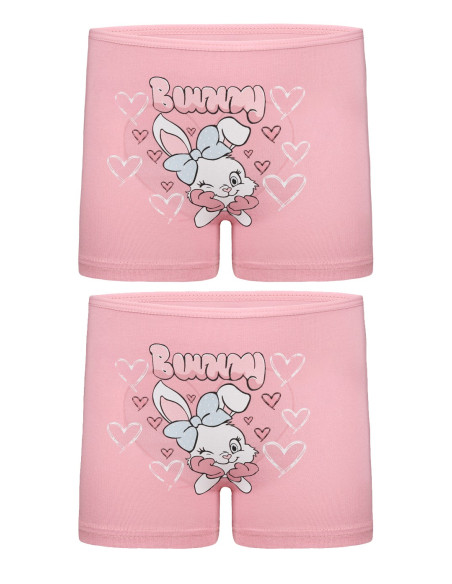 Donella 4271PB233 Assorted 10-Pack Girls' Briefs — Turkish textile wholesale