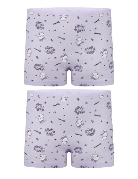 Donella 428120 Assorted 10-Pack Girls' Briefs — Istanbul wholesale supplier