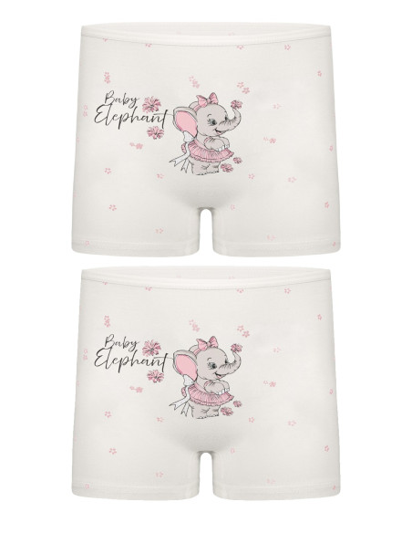 Donella 4281B36 Assorted 10-Pack Girls' Briefs — Turkish textile wholesale