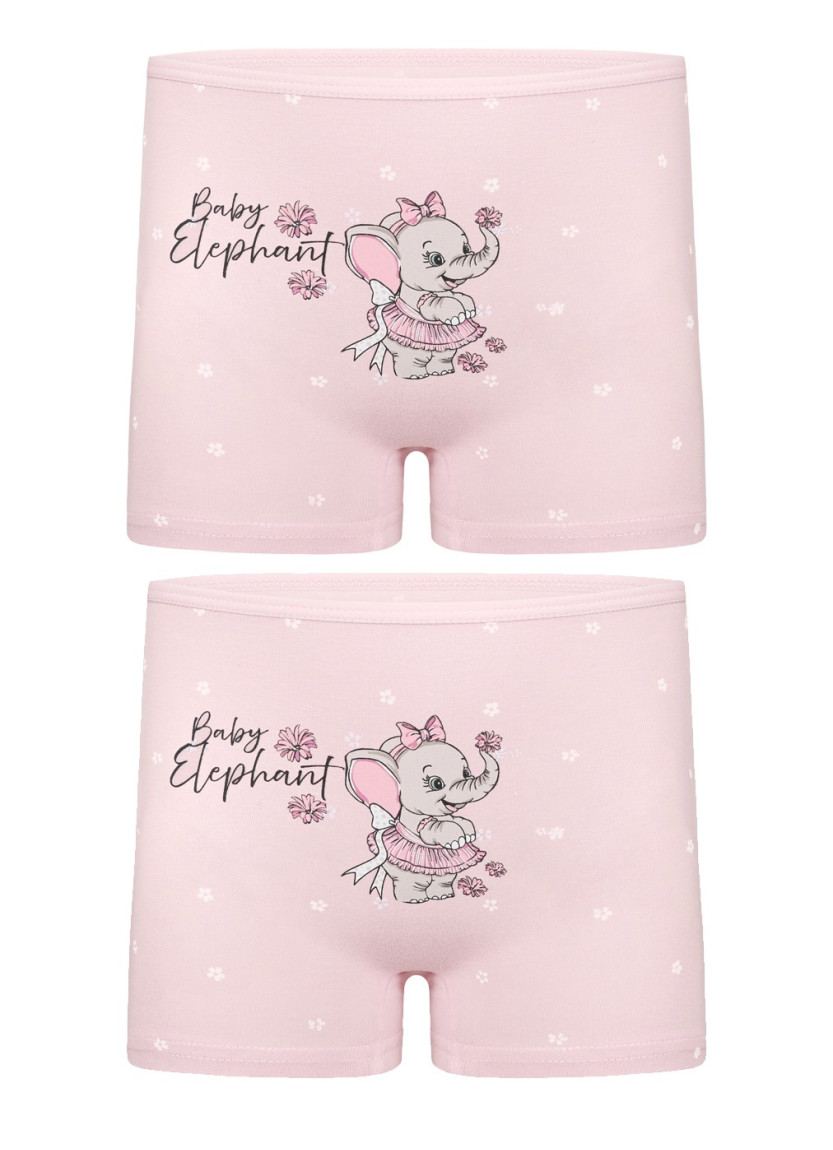 Donella 4281B36 Assorted 10-Pack Girls' Briefs — direct Turkish factory supply