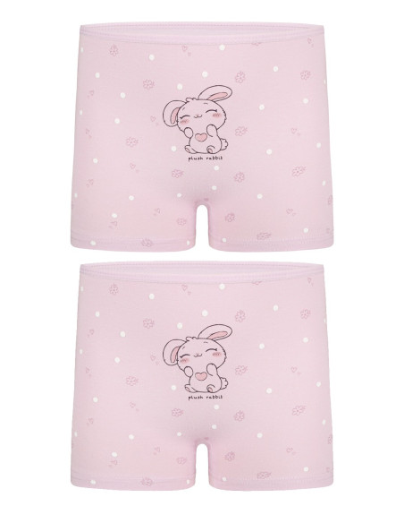 Donella 4271PB228 Assorted 10-Pack Girls' Briefs — direct Turkish factory supply