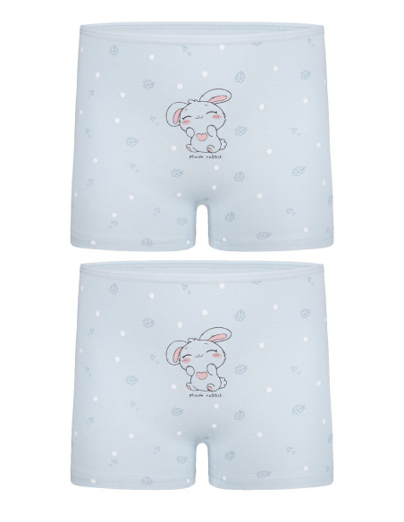 Donella 4271PB228 Assorted 10-Pack Girls' Briefs — wholesale from Turkey