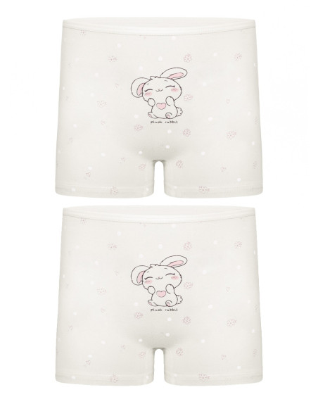 Donella 4271PB228 Assorted 10-Pack Girls' Briefs — Turkish textile wholesale