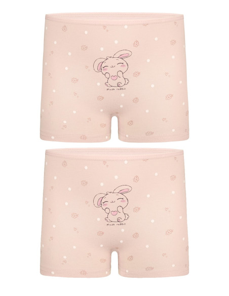 Donella 4271PB228 Assorted 10-Pack Girls' Briefs — direct Turkish factory supply