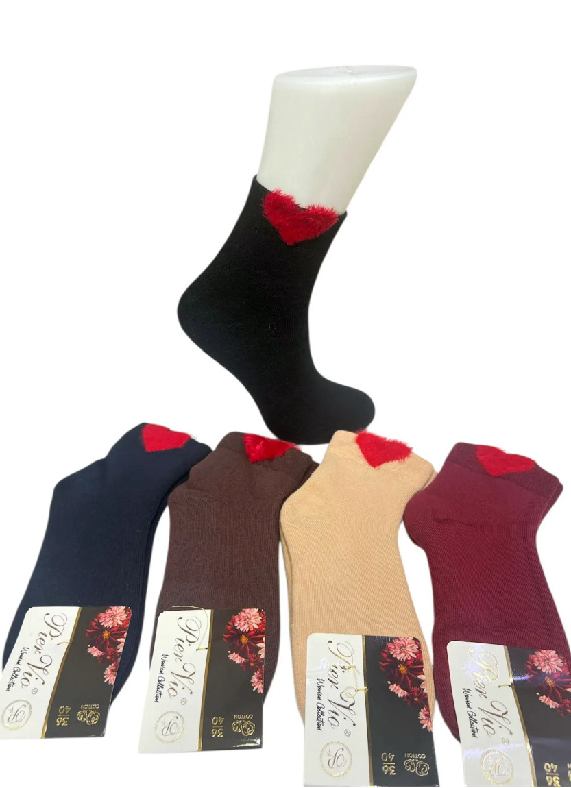 PierVio HVL 70002A18 Cotton Assorted 12-Pair Pack Women's Socks (36-40) — wholesale for boutiques