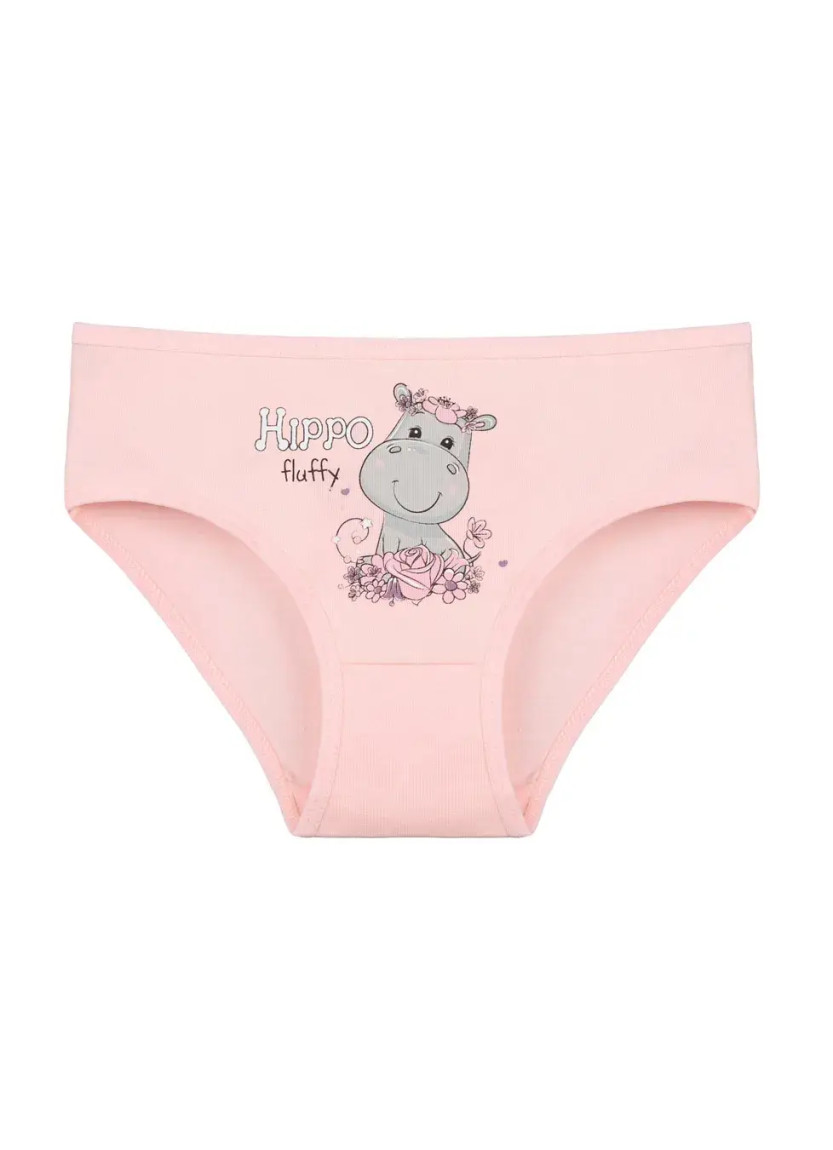 Donella 4171PB207 Assorted 10-Pack Girls' Briefs — Istanbul wholesale supplier