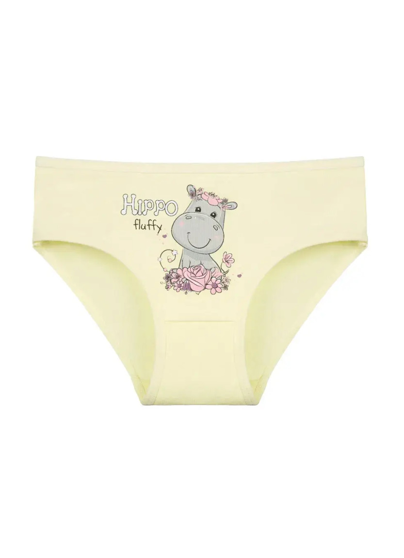 Donella 4171PB207 Assorted 10-Pack Girls' Briefs — Turkish factory wholesale