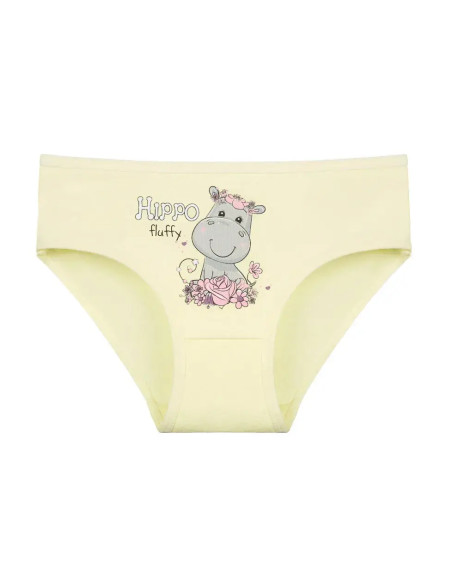 Donella 4171PB207 Assorted 10-Pack Girls' Briefs — Turkish factory wholesale