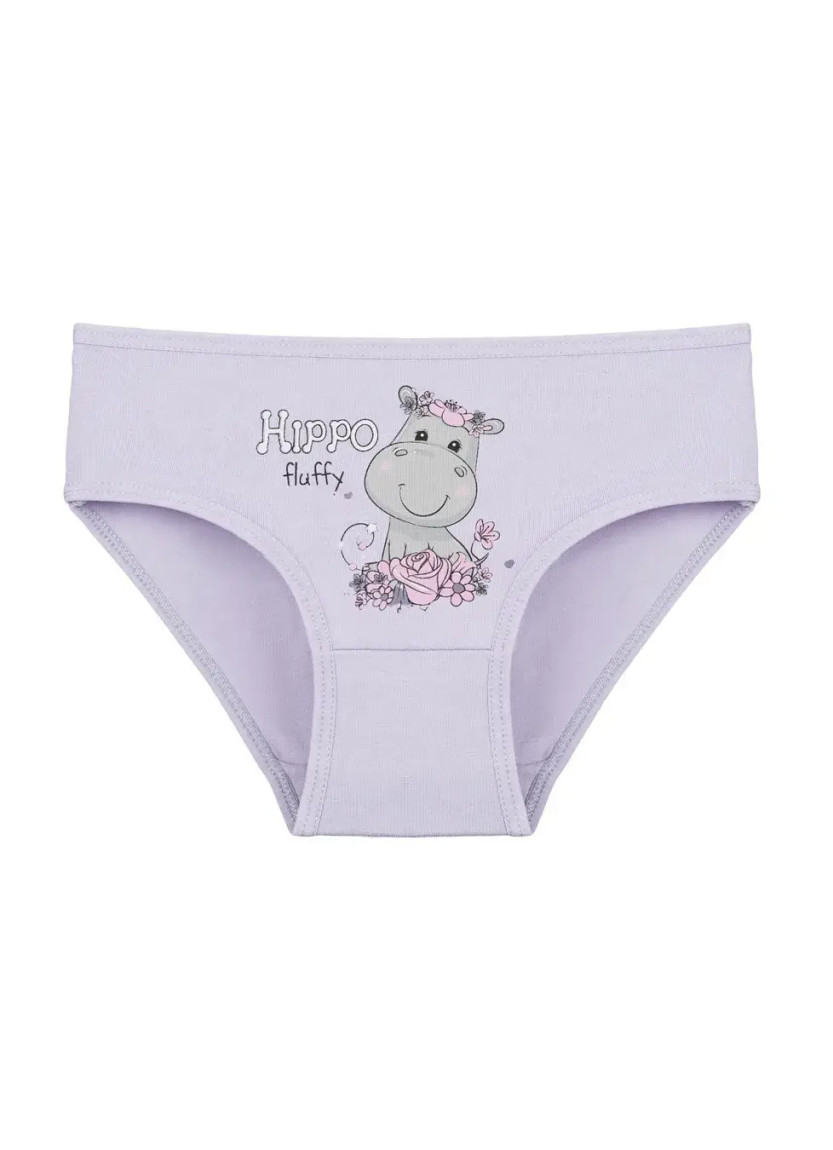 Donella 4171PB207 Assorted 10-Pack Girls' Briefs — Istanbul wholesale supplier