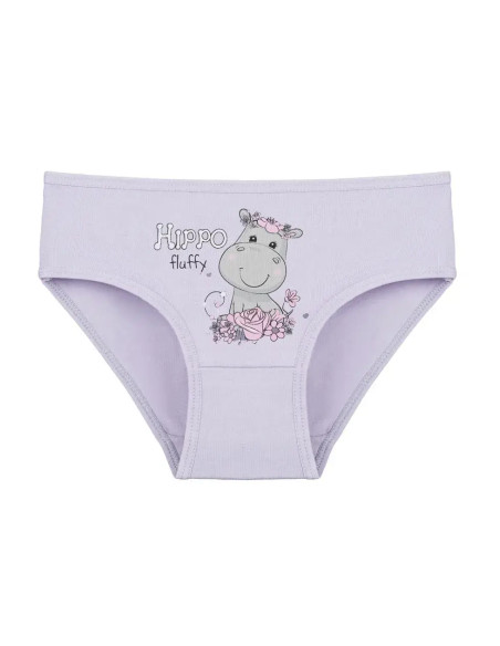 Donella 4171PB207 Assorted 10-Pack Girls' Briefs — Istanbul wholesale supplier