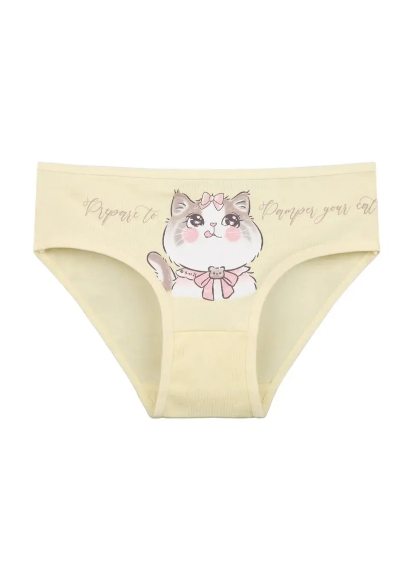 Donella 4171PB21-AS Assorted 10-Pack Girls' Briefs — wholesale from Turkey