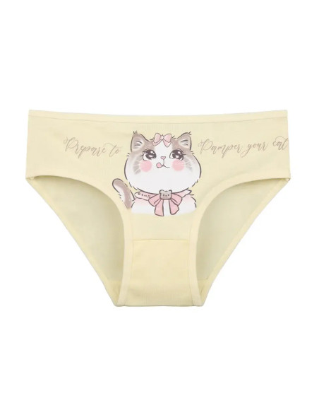 Donella 4171PB21-AS Assorted 10-Pack Girls' Briefs — wholesale from Turkey
