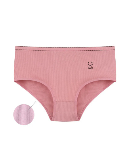 Donella 2532PB3 Assorted 10-Pack Women's Briefs — direct Turkish factory supply