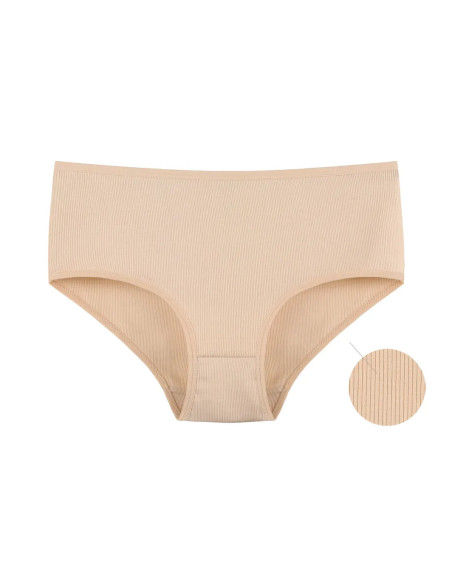 Donella 2532XD1 Assorted 10-Pack Women's Briefs — Istanbul wholesale supplier