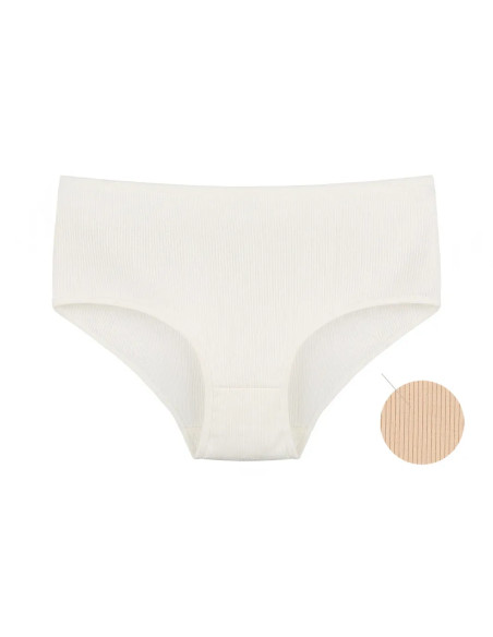 Donella 2532XD1 Assorted 10-Pack Women's Briefs — wholesale for boutiques