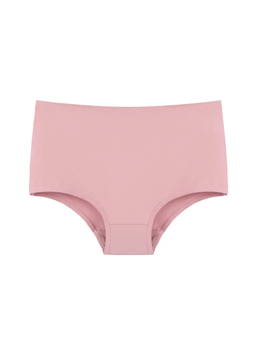 Donella 2671P Assorted 10-Pack Women's Briefs — Turkish textile wholesale