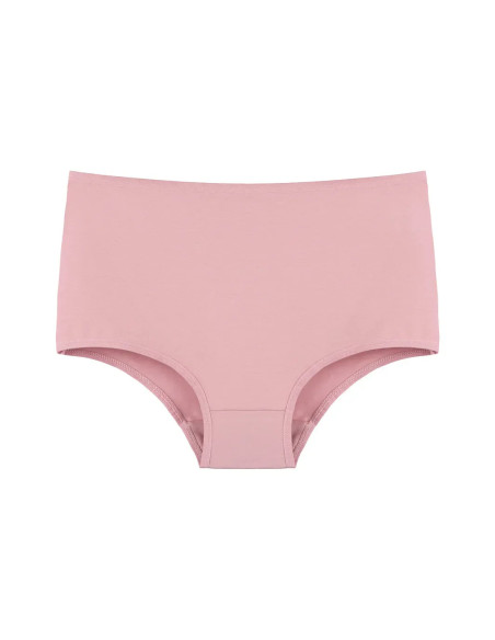 Donella 2671P Assorted 10-Pack Women's Briefs — Turkish textile wholesale