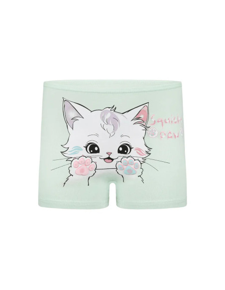 Donella 4271PB197-AS Assorted 10-Pack Girls' Briefs — Turkish textile wholesale