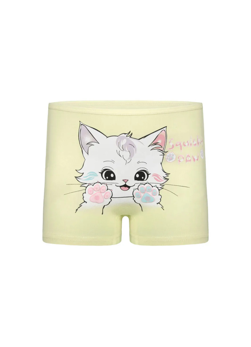 Donella 4271PB197-AS Assorted 10-Pack Girls' Briefs — wholesale from Turkey