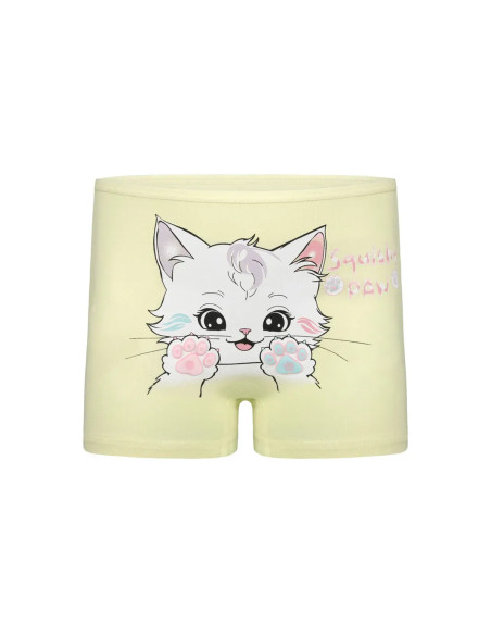 Donella 4271PB197-AS Assorted 10-Pack Girls' Briefs — wholesale from Turkey