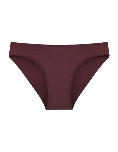 Donella 2171PD27 Assorted 10-Pack Women's Briefs — Turkish textile wholesale