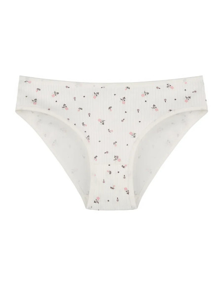 Donella 221301 Assorted 10-Pack Women's Briefs — wholesale for boutiques