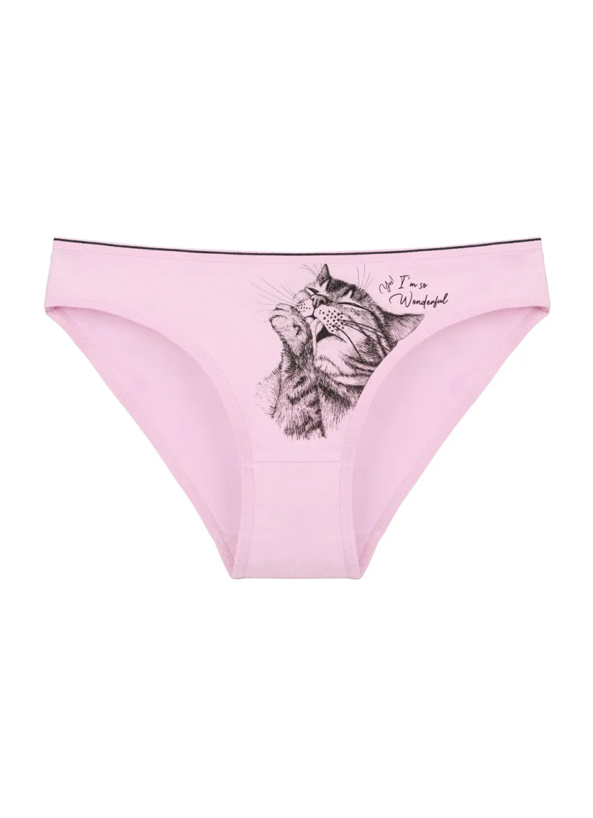 Donella 2271PB199 Assorted 10-Pack Women's Briefs — wholesale from Turkey