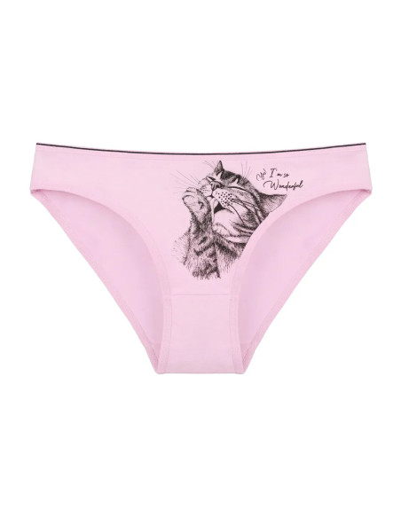 Donella 2271PB199 Assorted 10-Pack Women's Briefs — wholesale from Turkey