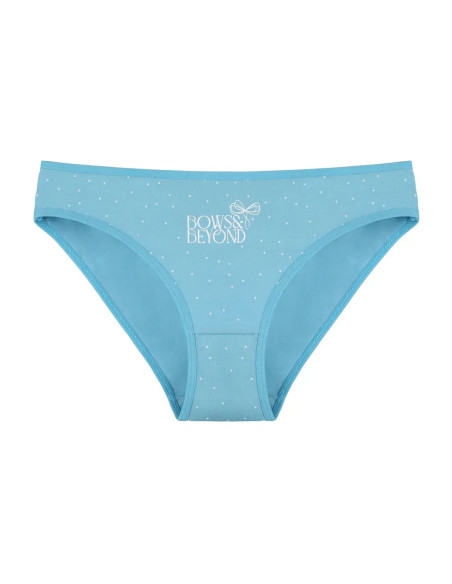 Donella 2281B47 Assorted 10-Pack Women's Briefs — wholesale for boutiques