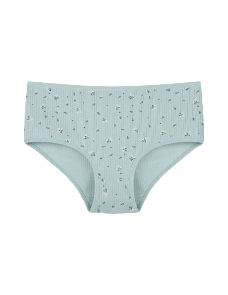 Donella 251301 Assorted 10-Pack Women's Briefs — Turkish textile wholesale