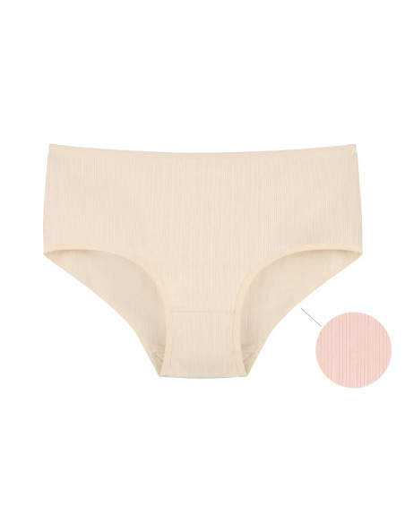 Donella 2528P Assorted 10-Pack Women's Briefs — direct Turkish factory supply
