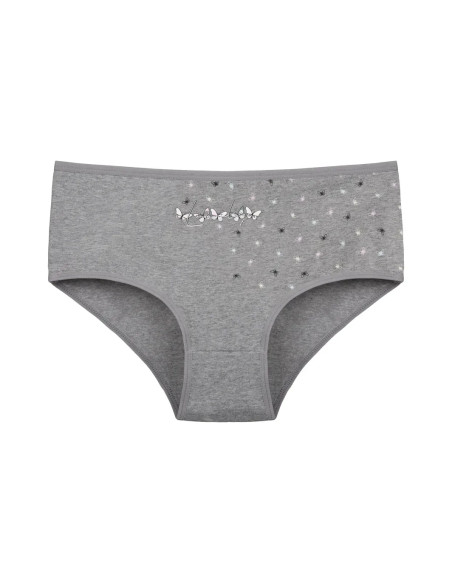Donella 2571PB255 Assorted 10-Pack Women's Briefs — Istanbul wholesale supplier