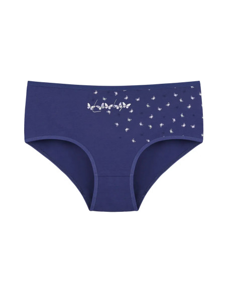 Donella 2571PB255 Assorted 10-Pack Women's Briefs — wholesale for boutiques