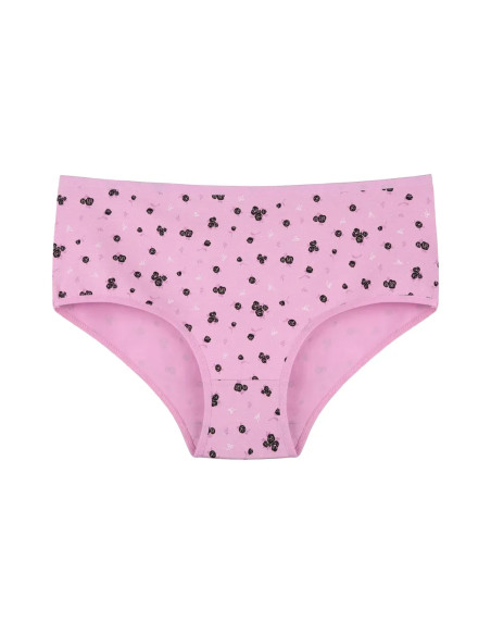 Donella 258141 Assorted 10-Pack Women's Briefs — factory-direct from Turkey