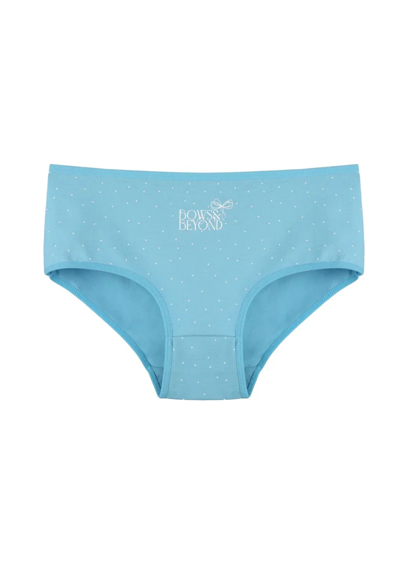 Donella 2581B47 Assorted 10-Pack Women's Briefs — wholesale for boutiques