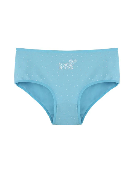 Donella 2581B47 Assorted 10-Pack Women's Briefs — wholesale for boutiques